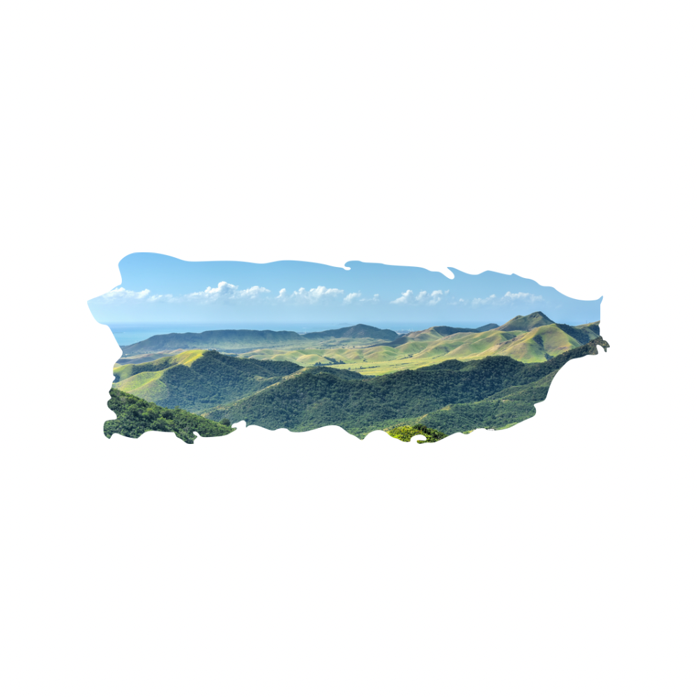 16 Designs of Puerto Rico Map made on Acrylic. A Table Art! - Professional Artwork