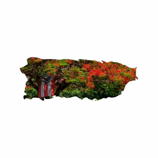 16 Designs of Puerto Rico Map made on Acrylic. A Table Art! - Professional Artwork