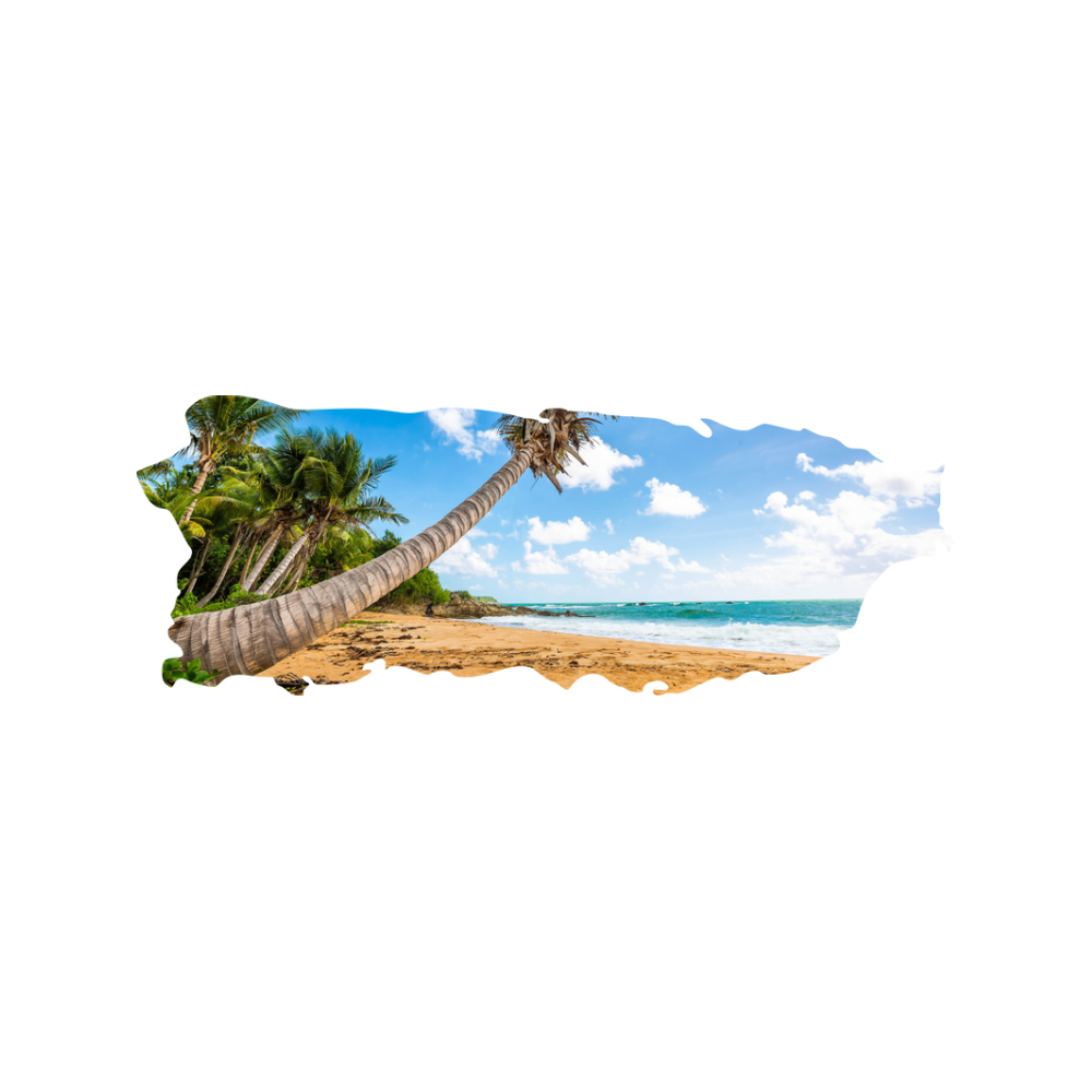 16 Designs of Puerto Rico Map made on Acrylic. A Table Art! - Professional Artwork