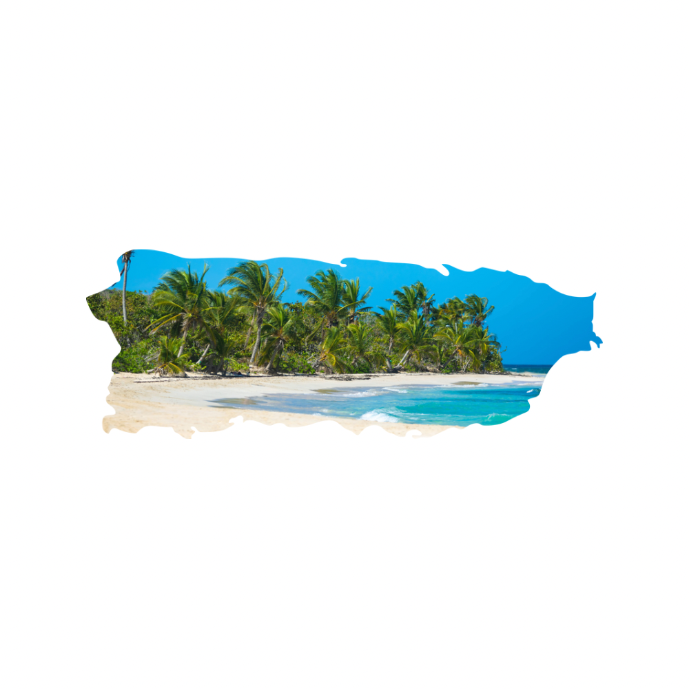16 Designs of Puerto Rico Map made on Acrylic. A Table Art! - Professional Artwork