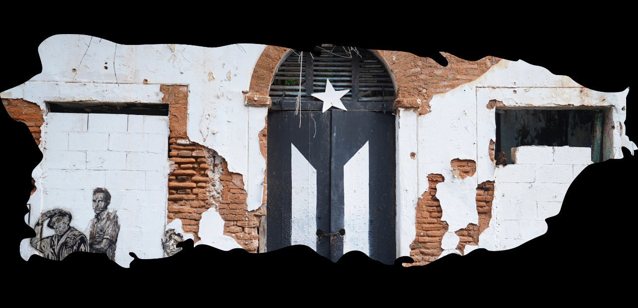 Puerto Rico Flag Acrylic Map Special Offer - Professional Artwork